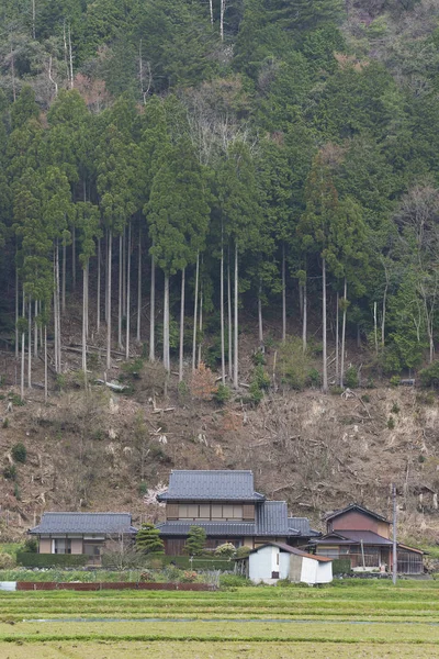 Paesaggio Idilliaco Del Villaggio Storico Miyama Kyoto Giappone — Foto Stock