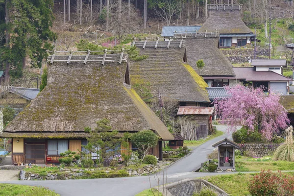Sakura Fiore Albero Nel Villaggio Storico Miyama Kyoto Giappone — Foto Stock