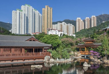 Çin Tapınağı - Chi Lin Nunnery, Hong Kong. 