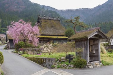 Japonya 'nın Kyoto kentindeki Miyama tarihi köyünün kırsal manzarası