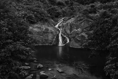 Creek ve ağaçlar ahşap 