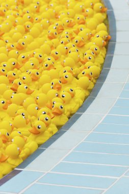 yellow toy duck floating in swimming pool clipart