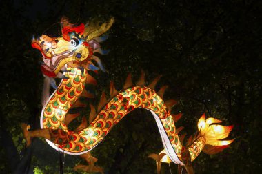 Çin ejderha feneri sonbahar festivalinin ortasında