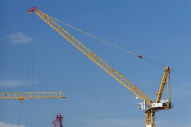 İnşaat alanında turna 