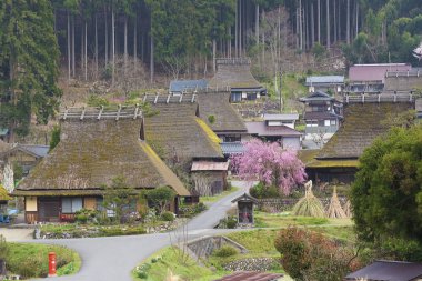 Japonya 'nın Kyoto kentindeki Miyama tarihi köyünün kırsal manzarası