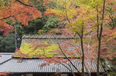 Kyoto, Japonya 'nın sonbahar mevsiminde cennet manzarası