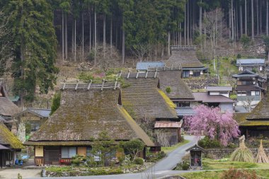 Japonya 'nın Kyoto kentindeki Miyama tarihi köyünün kırsal manzarası
