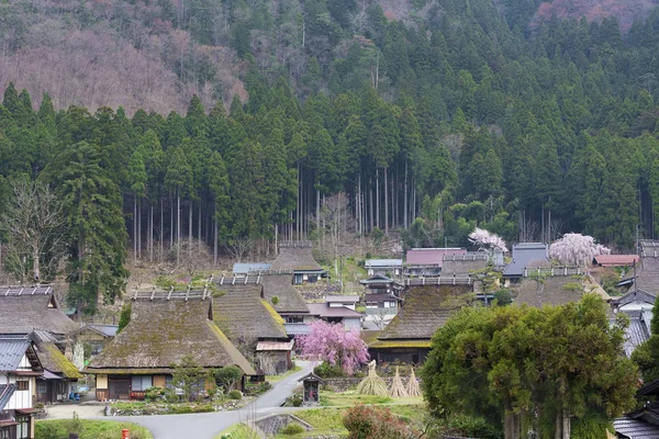 Paesaggio Rurale Del Villaggio Storico Miyama Kyoto Giappone — Foto Stock