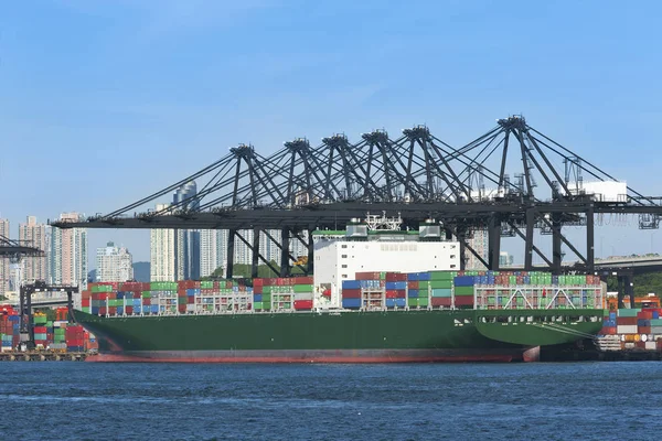 Kargo gemisi Hong Kong konteyner limanda 