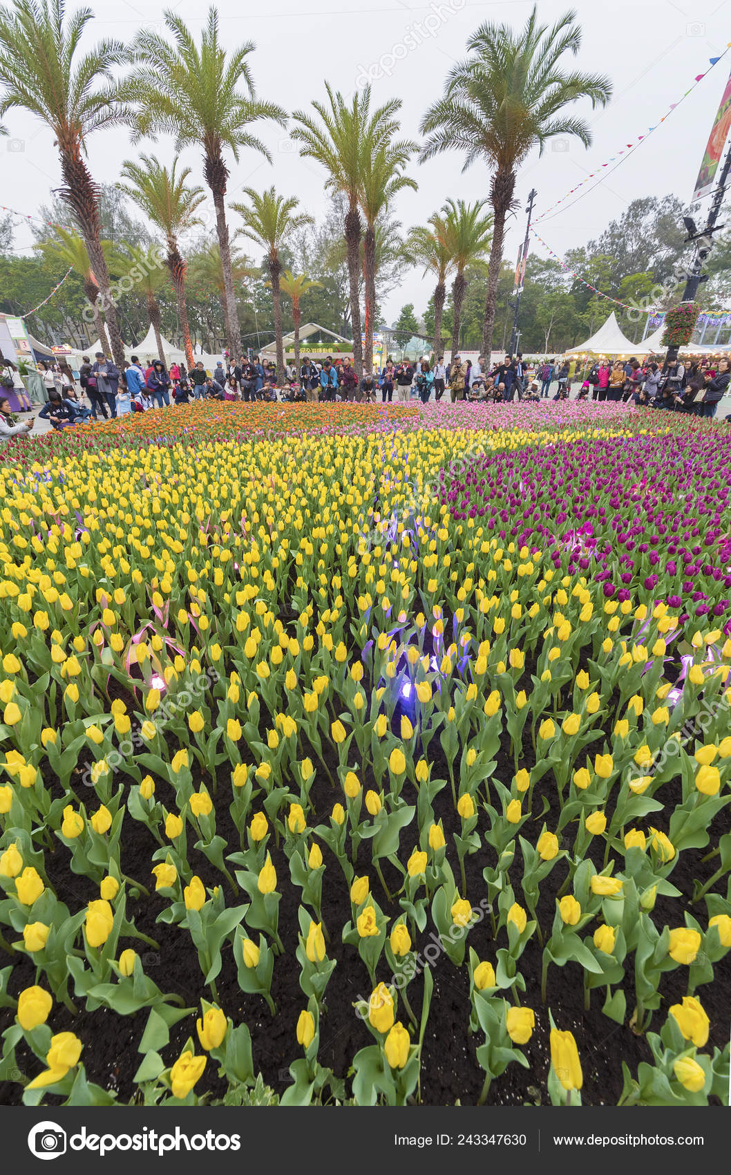 すべての美しい花の画像 綺麗な3月10日花 すべての美しい花の画像 綺麗な3月10日花