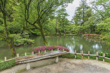 Japonya, Kanazawa 'daki Japon bahçesinde tahta koltuk.