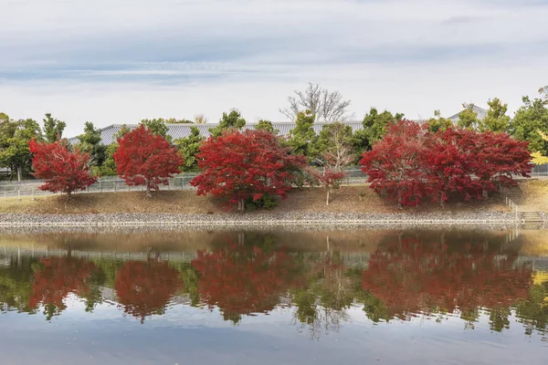 Idyllic Landscape Nara Japan Autumn Season — Stock Photo, Image