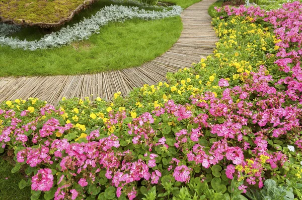 Chemin Dans Jardin Fleuri Décoré — Photo