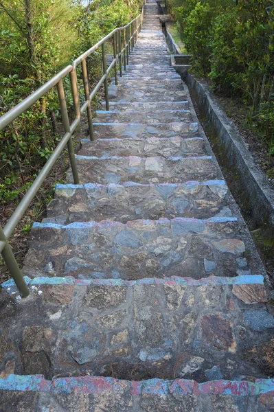 Stairway Jungle — Stock Photo, Image