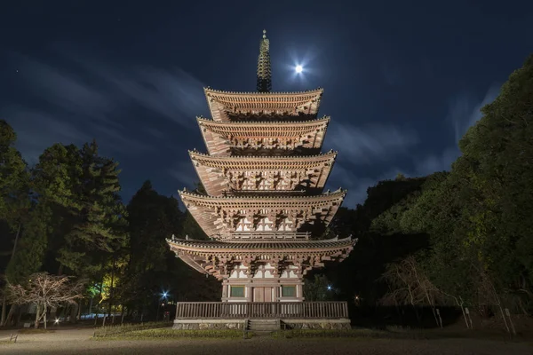 Paisaje Nocturno Pagoda Histórica Templo Daigoji Kyoto Japón — Foto de Stock