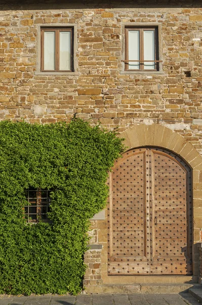 Ivy Retro Porta Madeira Antiga Casa Italiana Florença Tusc — Fotografia de Stock