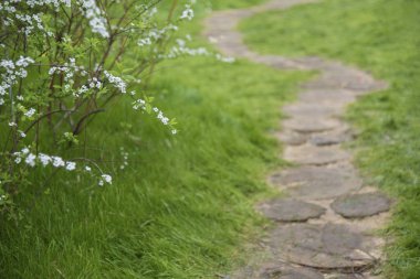 Süslü çiçek bahçesi yolunda