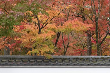 Kyoto, Japonya 'nın sonbahar mevsiminde cennet manzarası