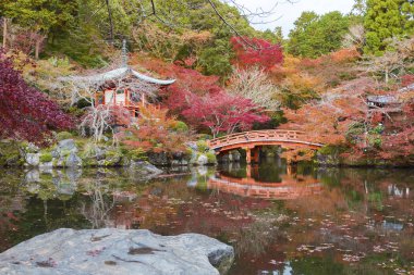 Sonbahar mevsiminde Daigoji tapınağında renkli akçaağaç ağaçları olan güzel Japon bahçesi, Kyoto, Japonya