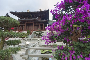 Çin Tapınağı - Chi Lin Nunnery, Hong Kong