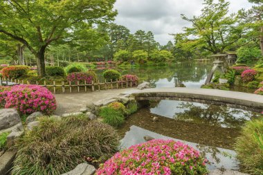 Japon bahçesi Kenrokuen, Kanazawa, Japonya