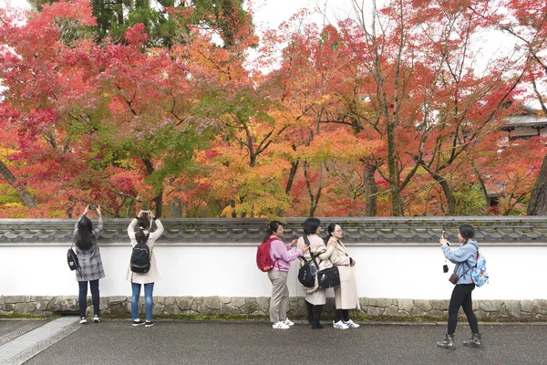 Kyoto Japon Novembre 2018 Photo Touriste Temple Eikando Zenrinji Temple — Photo