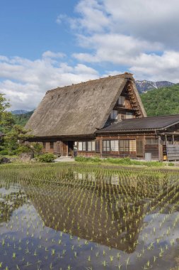 Pirinç alan içinde tarihsel Köyü, Shirakawa-go. Shirakawa-go Japonya'nın Unesco Dünya Mirasları Gifu ili, Japonya bulunan biridir.