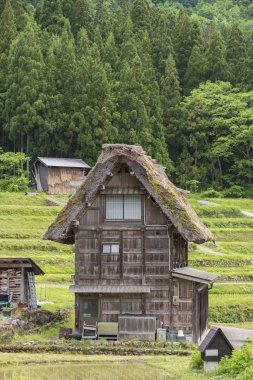 Thatched yazlık içinde tarihi köy, Shirakawa-gitmek Japonya 