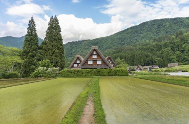 Shirakawa-go 'nun tarihi köyündeki çiftlik evi. Shirakawa-go, Japonya 'nın Gifu ilindeki UNESCO Dünya Miraslarından biridir..