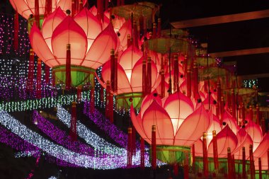 Çin Yeni Yıl Kutlaması için Çin Feneri