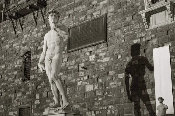 Statua David Replica Michelangelo Firenze Italia — Foto Stock