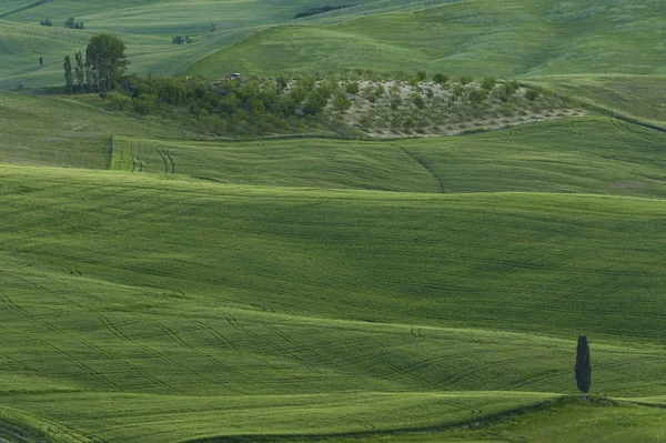 Prachtig Landschap Toscane Italië — Stockfoto