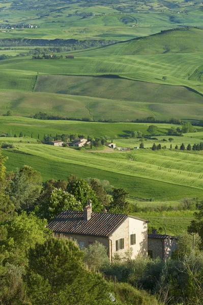 Idylliska Landskap Tuscany Bakgrund — Stockfoto