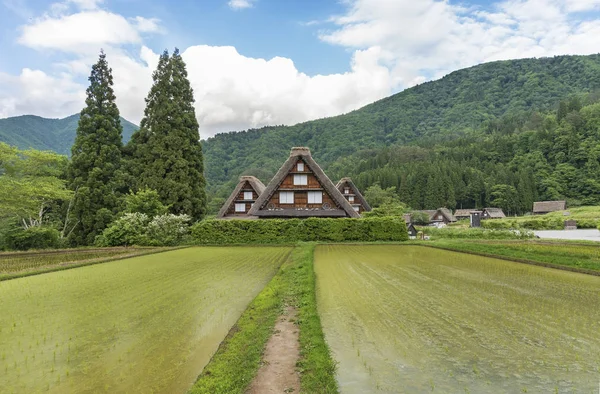 Casa Rural Pueblo Histórico Shirakawa Shirakawa Uno Los Sitios Del — Foto de Stock
