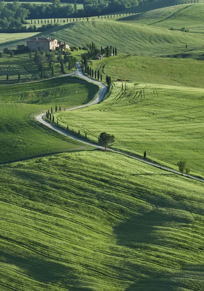 Impresionante Paisaje Toscana Italia — Foto de Stock