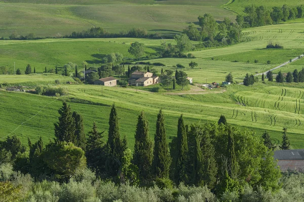 Ідилічним Пейзажем Фоні Тоскана — стокове фото
