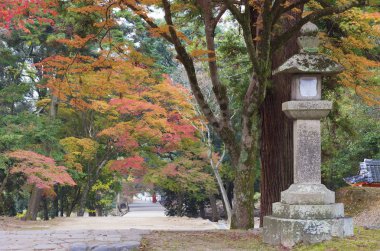 Taş fener Sonbahar sezonu tarihi şehirde Nara, Japonya