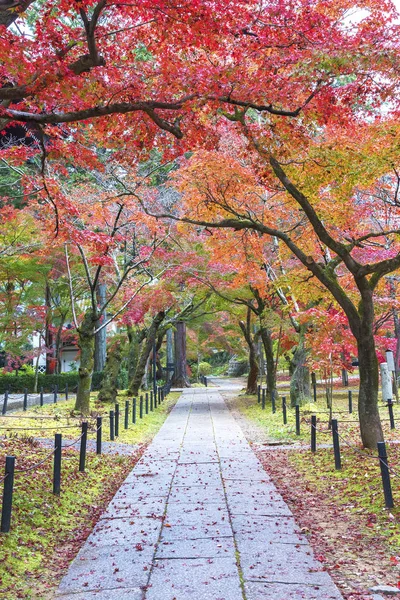 Paisaje idílico de Kioto, Japón en la temporada de otoño — Foto de Stock