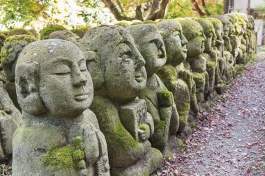 Arashiyama, Kyoto, Japonya 'daki Karanlık Orman' da Eski Okunmuş Buda Heykelleri.