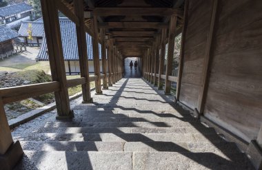 Tapınağı, Nara, Japonya merdiven içine akış güneş ışığı