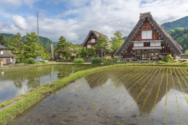 İlkbaharda Japonya 'da Shirakawa-go' nun Tarihi Köyü