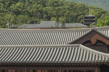 Çin Tapınağı Çatı detayları - Chi Lin Nunnery Hong Kong