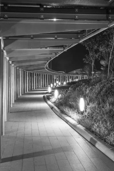 Empty modern pedestrian walkway in park at night