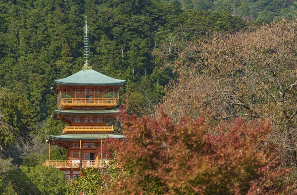 Vista panorámica de la pagoda del Templo Seiganto-ji en Nachi Katsuura, W — Foto de Stock