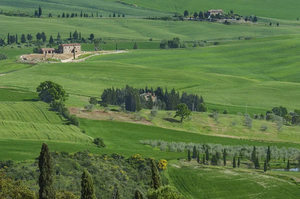 Paesaggio idilliaco in Toscana — Foto Stock