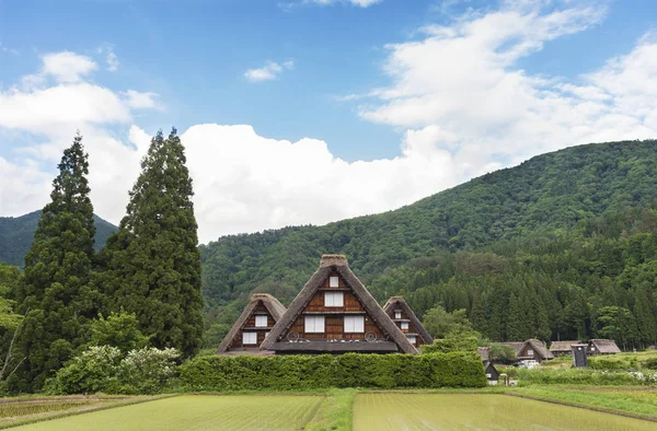 Casa rural en pueblo histórico de Shirakawa-go en Japón — Foto de Stock