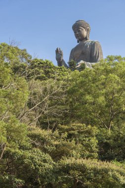 Tian Tan Buddha, nam-ı diğer Büyük Buda, Sakyamuni Buddha'nın büyük bir bronz heykelidir ve Hong Kong'daki Lantau Adası'ndaki Ngong Ping'de yer alır.