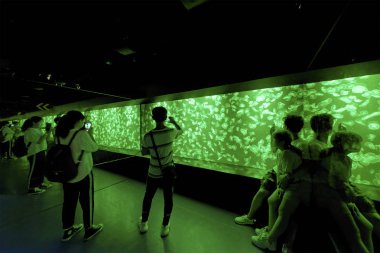 Hong Kong, Çin - 24 Temmuz 2019 : Denizanası i gözlemleyen ler