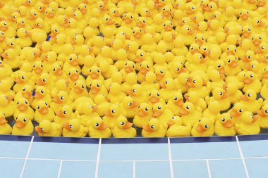 yellow toy duck floating in the pool clipart