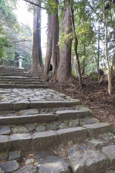 "「熊野古道」内山のトレイル(熊野地区の旧巡礼路)) — ストック写真